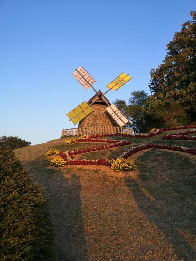 Symphony Du Vivant Lautrec Exterior photo